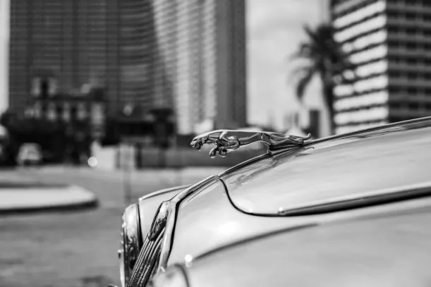 20Bets Kasino Android/iOS Sovellus